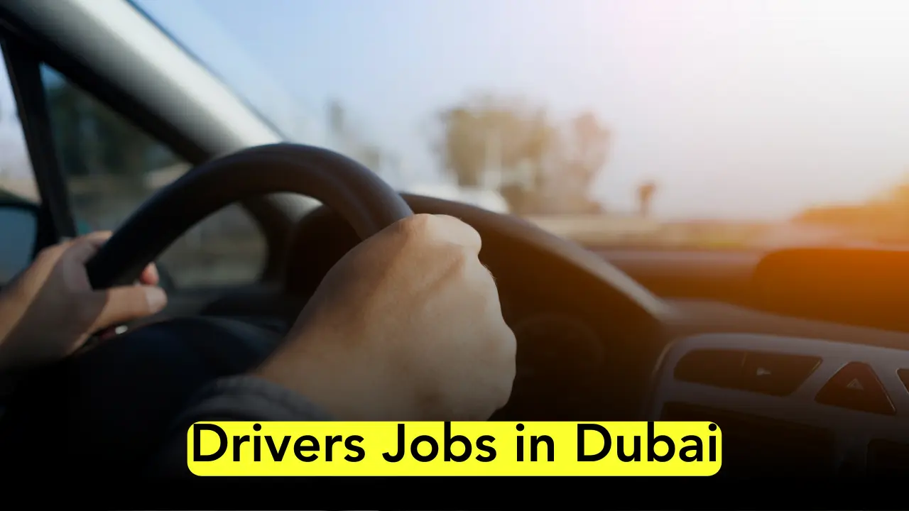driver jobs in dubai (2)
